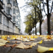 Nasses Laub auf dem Gehweg: Wie ist die Haftung beim Ausrutschen geregelt?