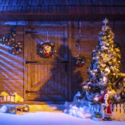 Weihnachten - Aufstellen eines Tannenbaums