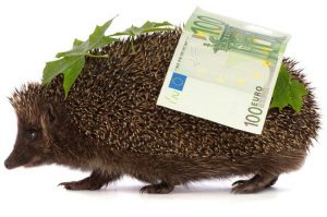 igel-leistungen - welche leistungen sind sinnvoll 