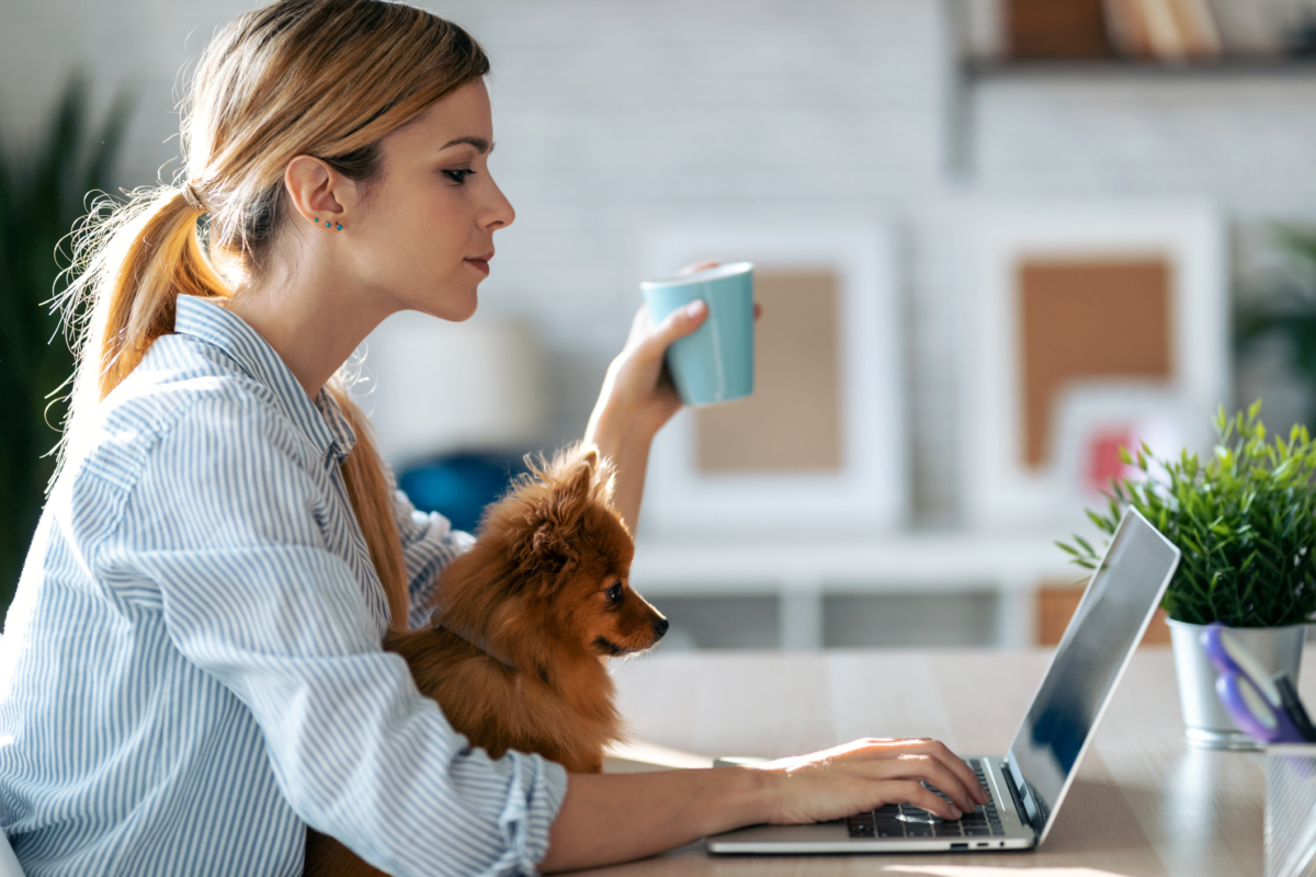 Eine junge Frau mit Pferdeschwanz hat eine Tasse in der Land und schaut auf den Laptop vor ihr auf dem Tisch. Auf ihrem Schoß sitzt ein kleiner Hund, der sich ebenfalls auf den Bildschirm zu konzentrieren scheint.