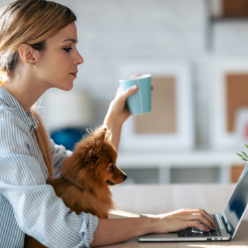 Eine junge Frau mit Pferdeschwanz hat eine Tasse in der Land und schaut auf den Laptop vor ihr auf dem Tisch. Auf ihrem Schoß sitzt ein kleiner Hund, der sich ebenfalls auf den Bildschirm zu konzentrieren scheint.